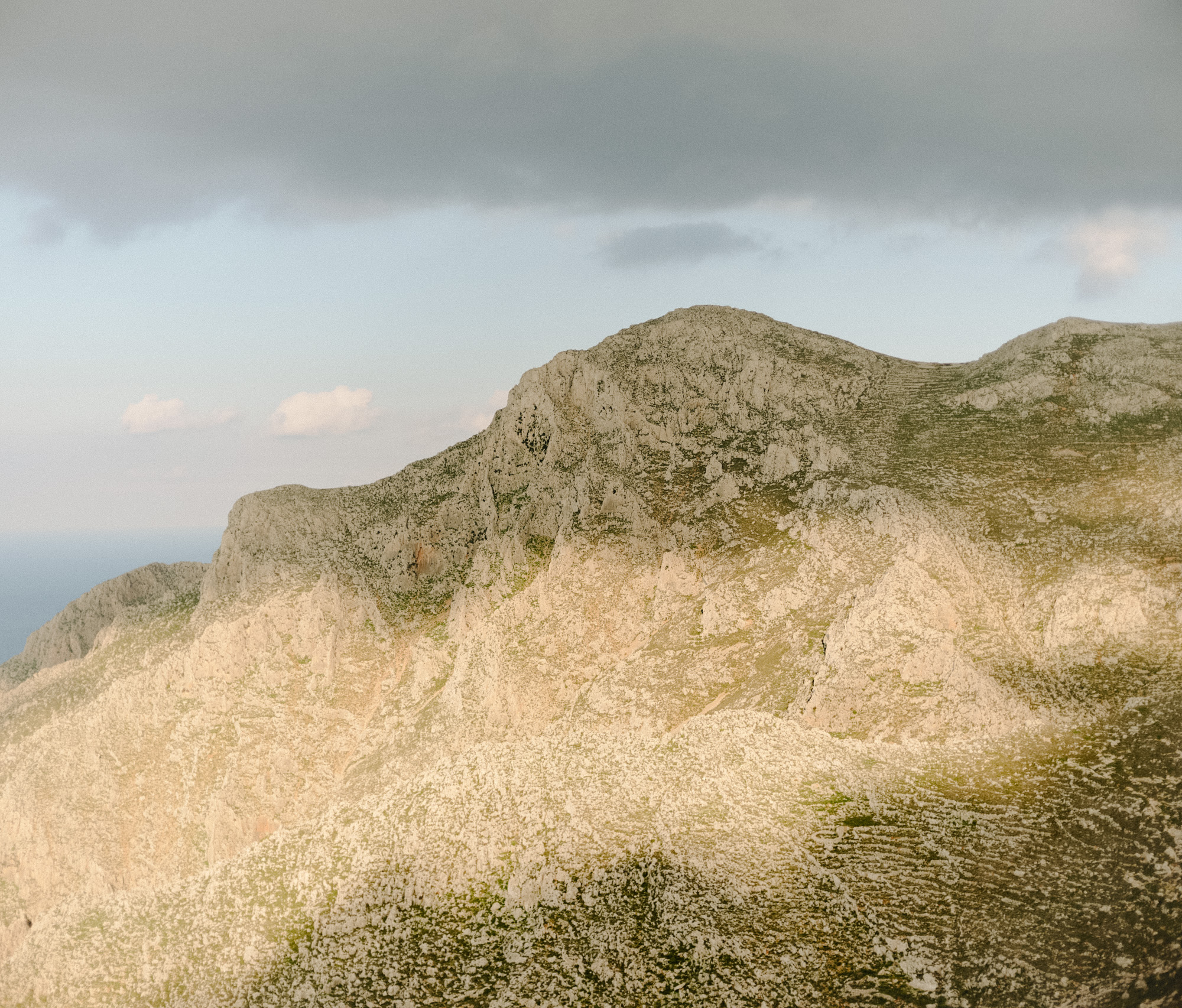 gently lit hillside