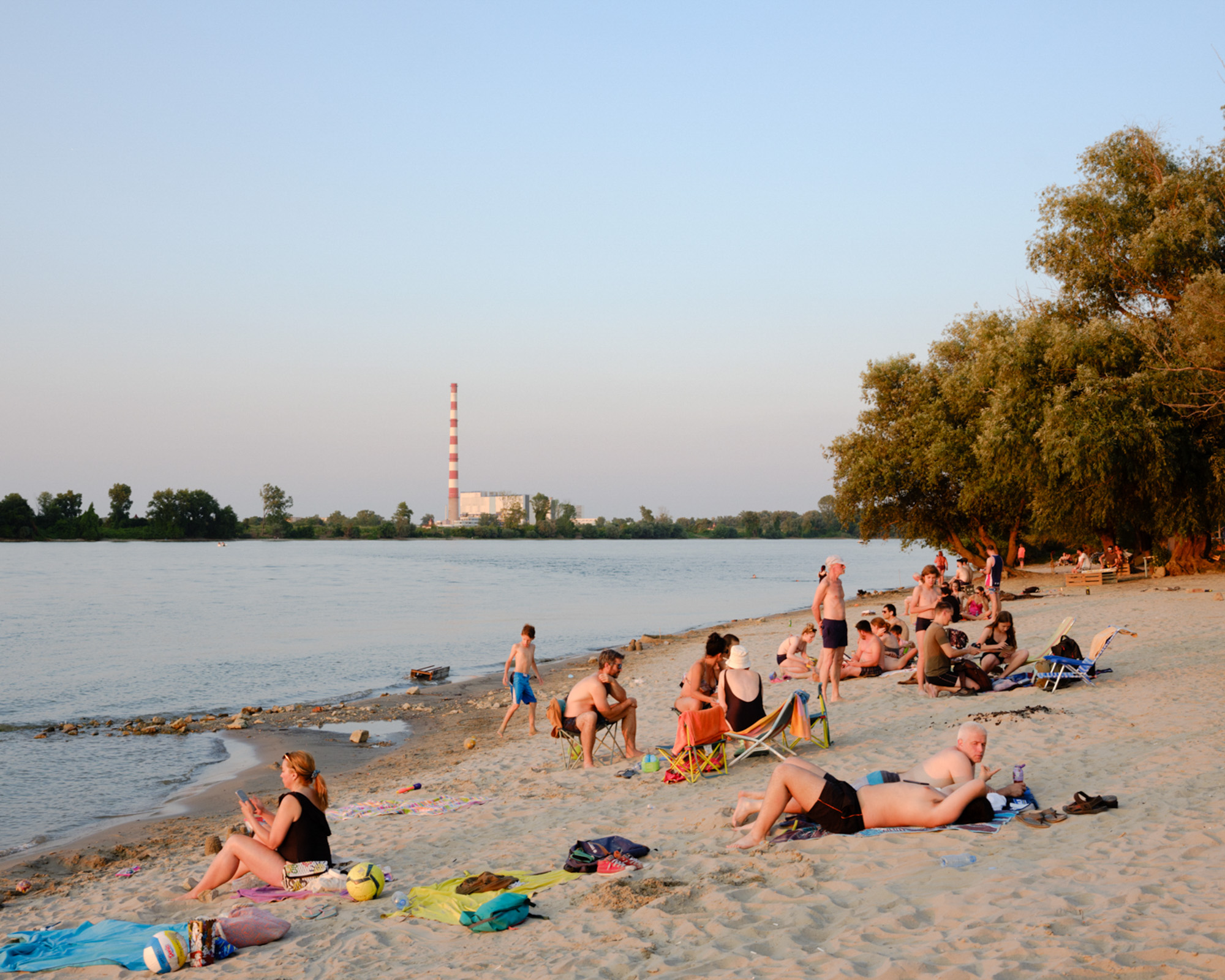 donaube