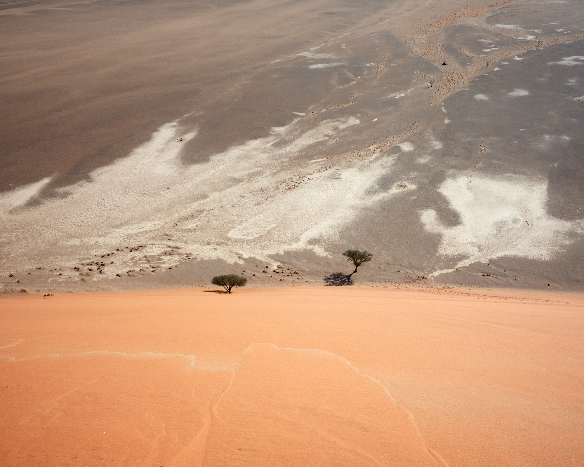 desert view