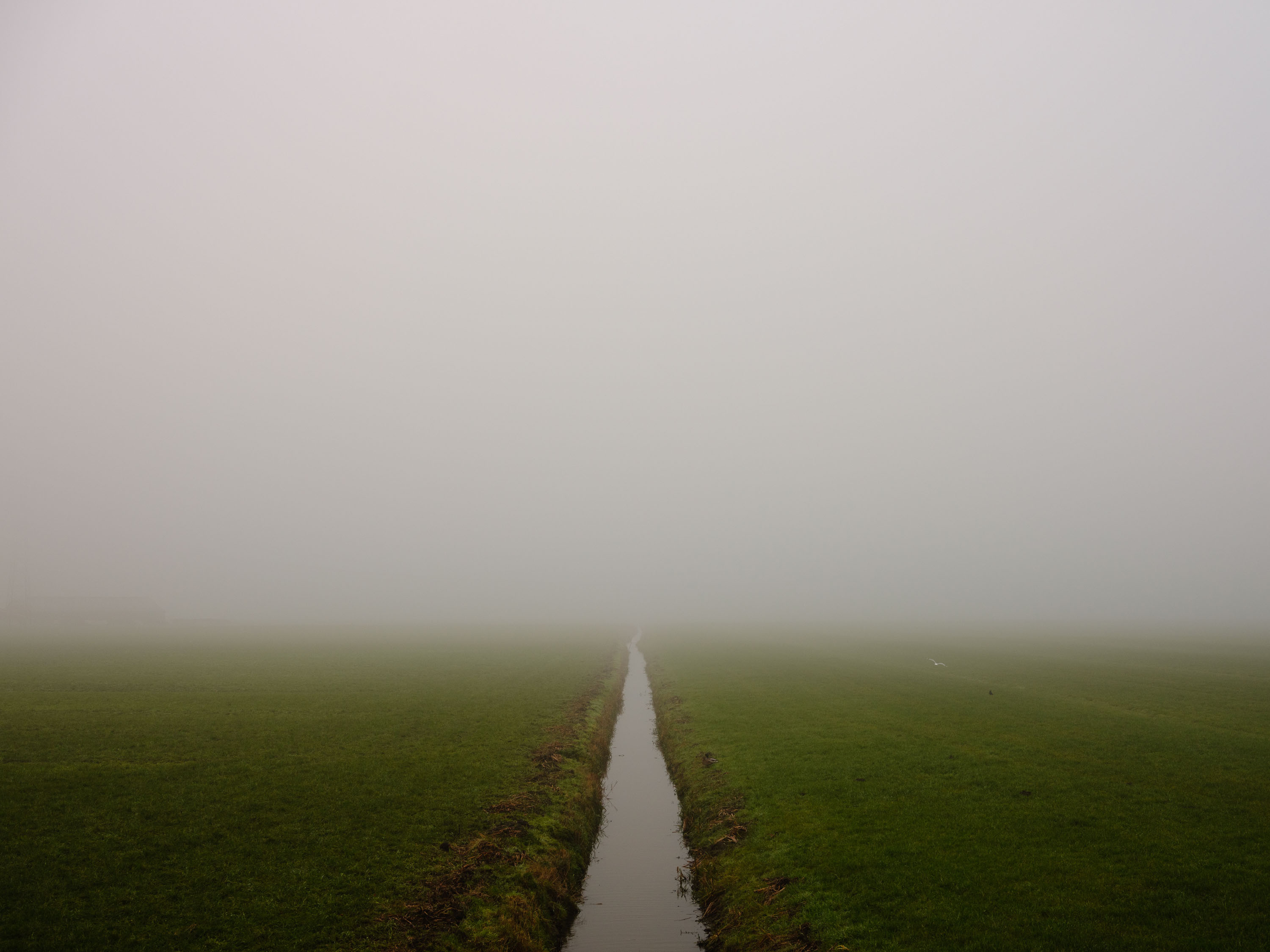 Horizons of Prosperity