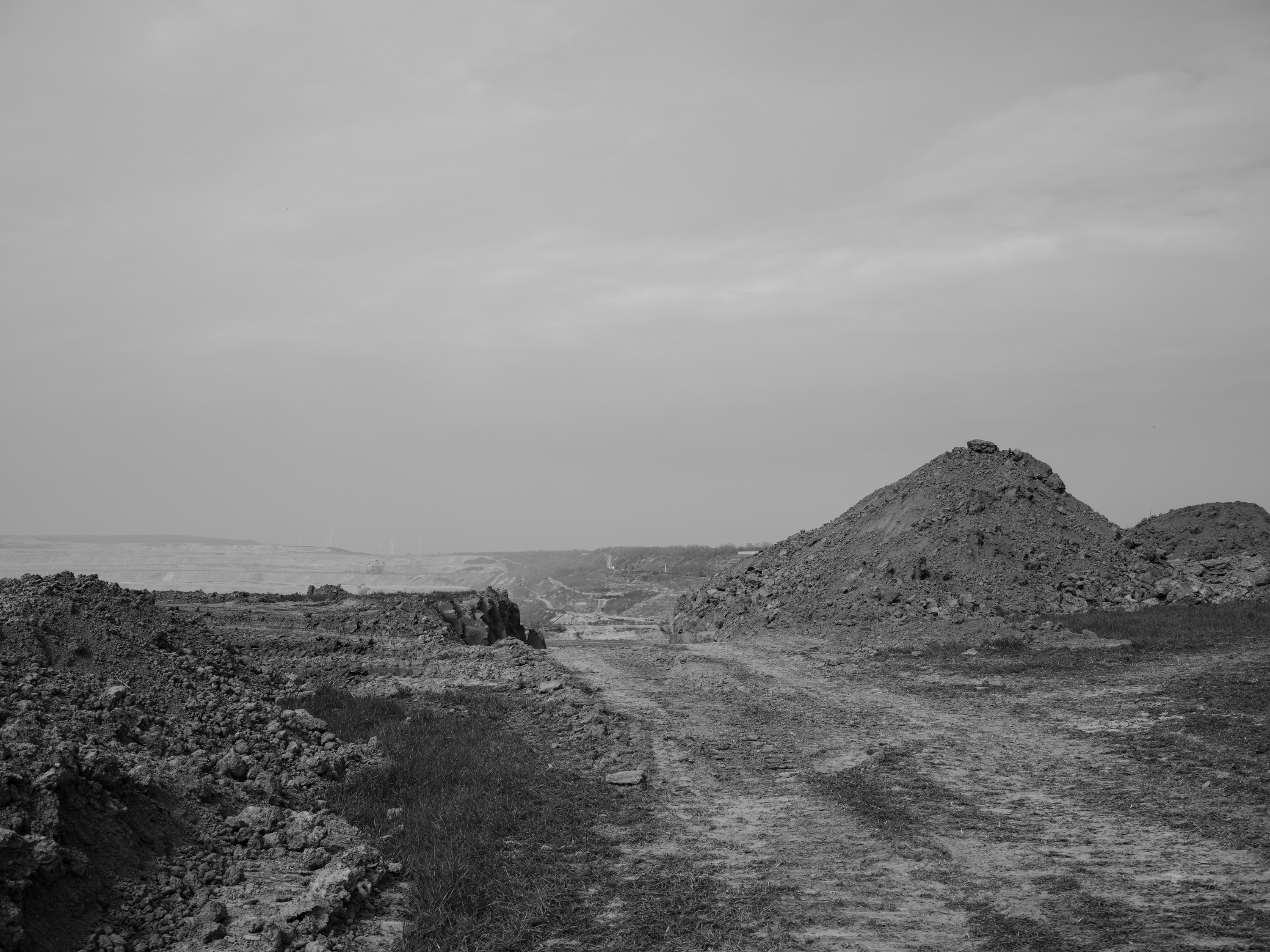 Horizons of Prosperity